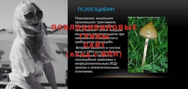 молекула духа Алексин