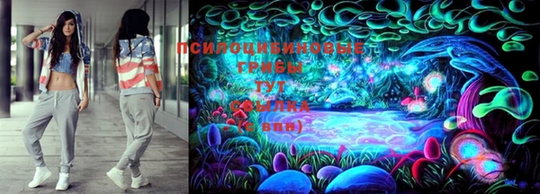 СК Алексеевка